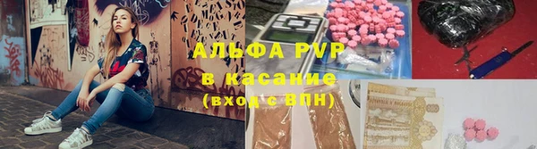 шишки Арсеньев