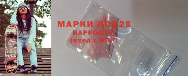 шишки Арсеньев