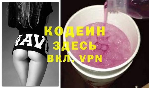 шишки Арсеньев