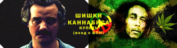 Альфа ПВП Осинники