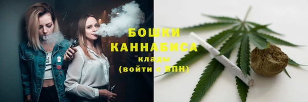 шишки Арсеньев