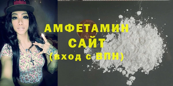 шишки Арсеньев