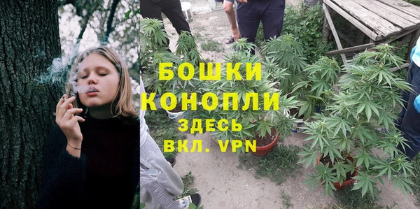 винт Аркадак