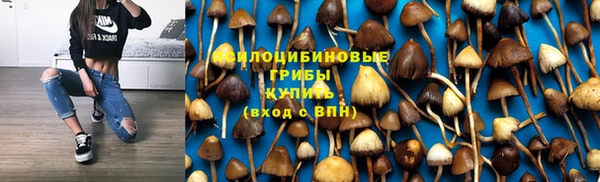 винт Аркадак