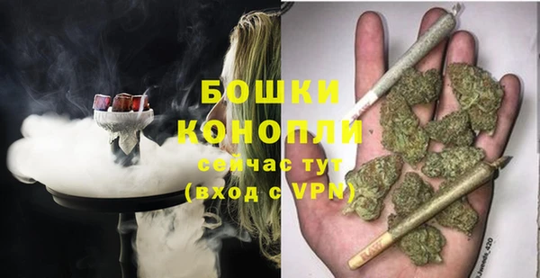 шишки Арсеньев