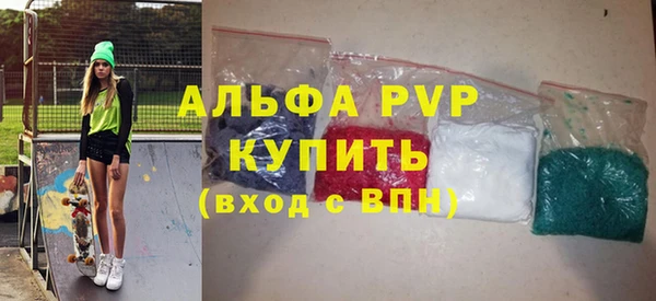 шишки Арсеньев