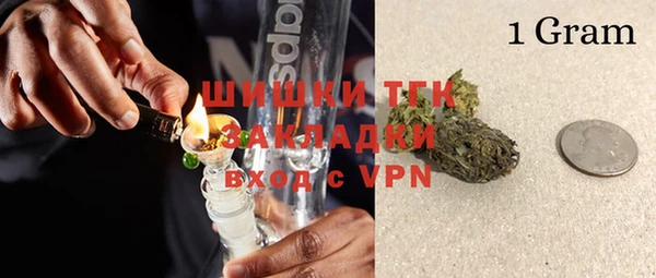шишки Арсеньев